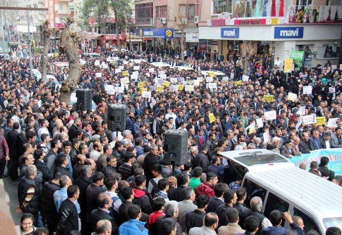Diyarbakır’da 8 Mart Karikatürüne Tepki