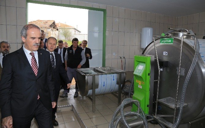 Bursa Büyükşehir Belediyesi’nden Süt Üreticisine Destek