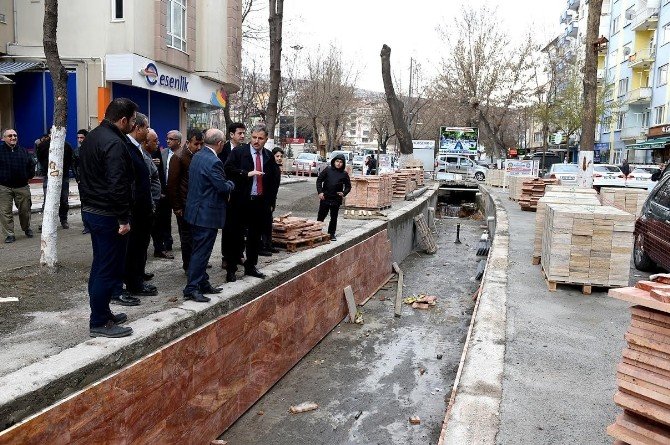 Büyükşehir Belediye Başkanı Çakır, Kanalboyunda İnceleme Yaptı