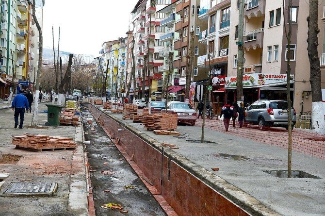 Büyükşehir Belediye Başkanı Çakır, Kanalboyunda İnceleme Yaptı