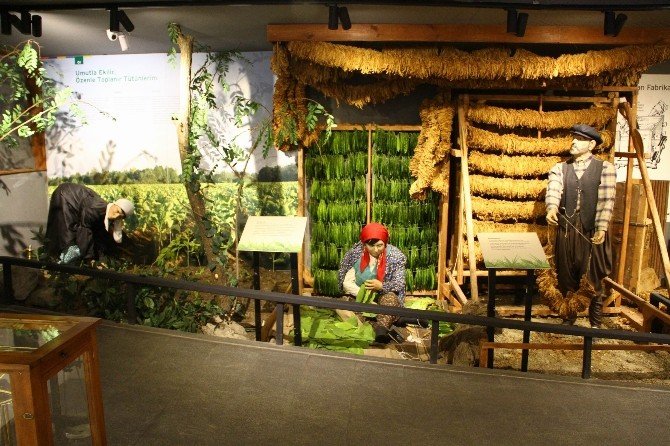 Çamaş’tan Vatandaşlara Müze Çağrısı