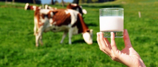 ADÜ’den Dünyada Güvenilir Süt Üretimi Projesine Akademik Destek