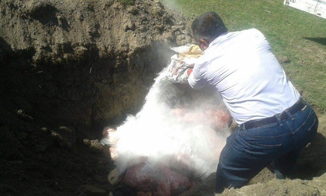 Ereğli’de 200 Kilo Kaçak Tavuk ETİ İmha Edildi