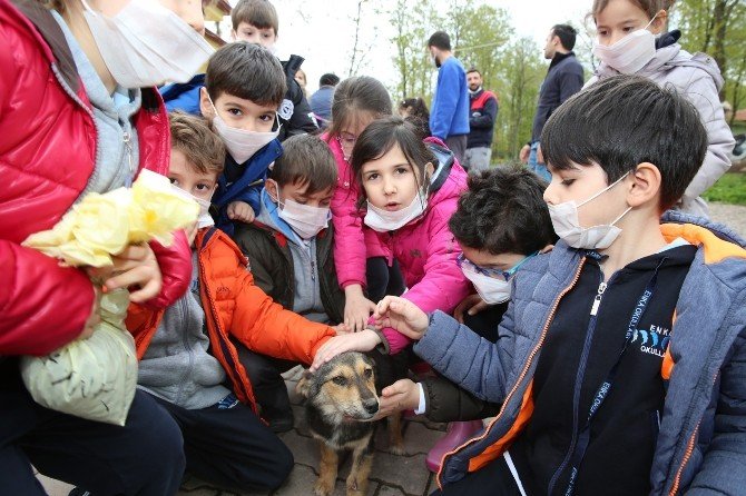 Özel Enka Okullarından Hayvan Barınağına Ziyaret