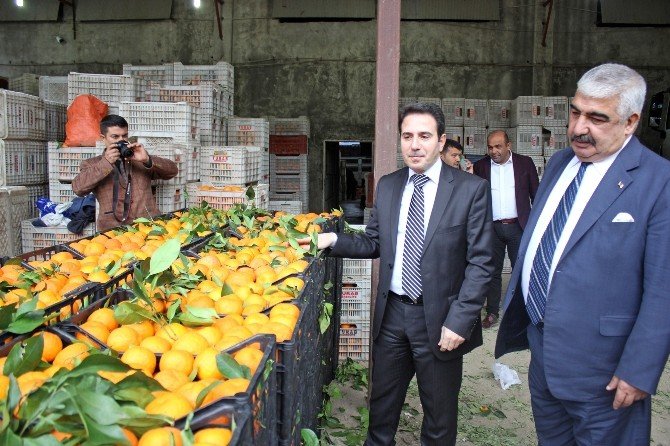 Adana’dan Güvenlik Güçlerine 25 Ton Portakal