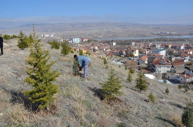 Gülşehir’de Ağaç Dikimi Ve Temizlik Çalışmaları Yapılıyor