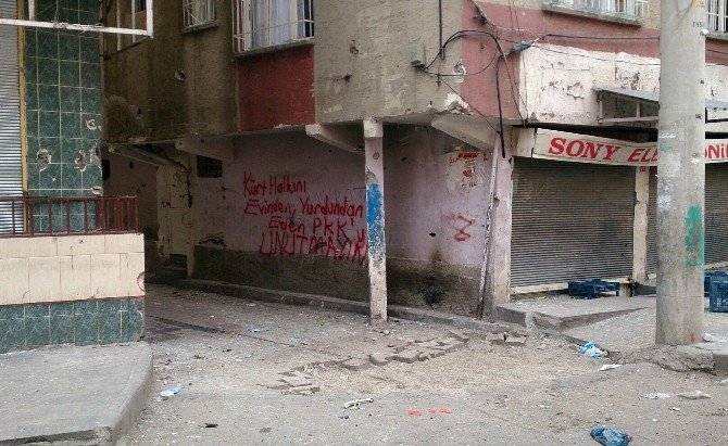 Vatandaşlardan PKK’ya Tokat Gibi Cevap