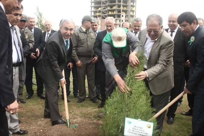 Adana’da Her Yıl 3.5 Milyon Fidan Toprakla Buluşuyor