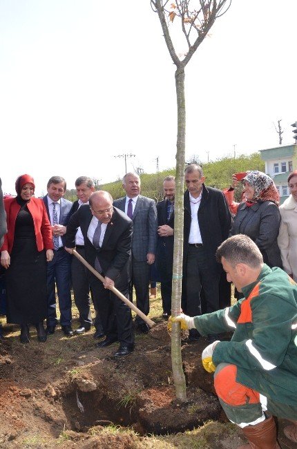 Trabzon’da Hocalı Katliamı Ve Şehitler Anısına Hatıra Ormanı Oluşturuldu