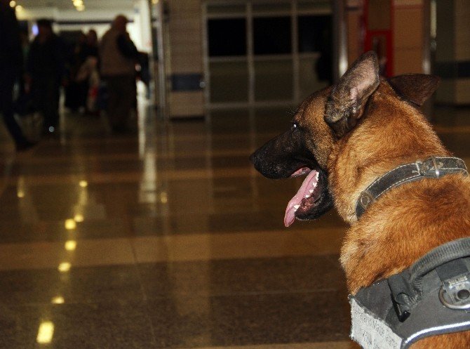 Atatürk Havalimanı’nda Güvenlik Önlemleri Üst Düzeye Çıkarıldı