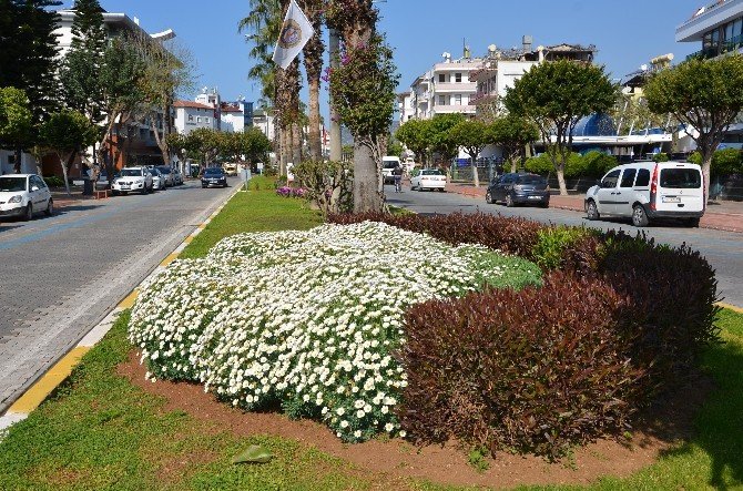 Büyükşehir Alanya’da Peyzaj Çalışmalarını Tamamladı