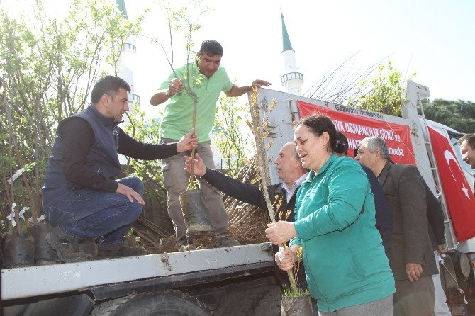 Gaziemir’de 3 Bin Meyve Fidanı Dağıtıldı