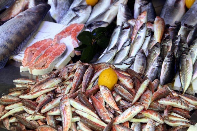 Soğuk Havalar Balık Fiyatlarını Arttırdı