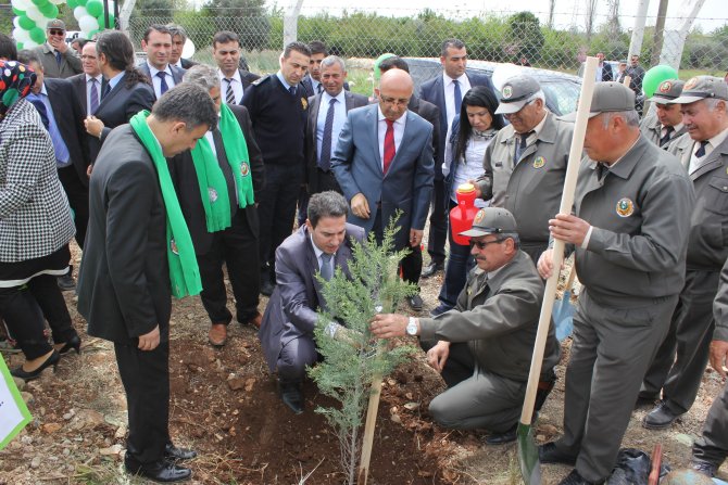 Kozan’da Orman Haftası etkinliklerinde 10 bin fidan dikildi
