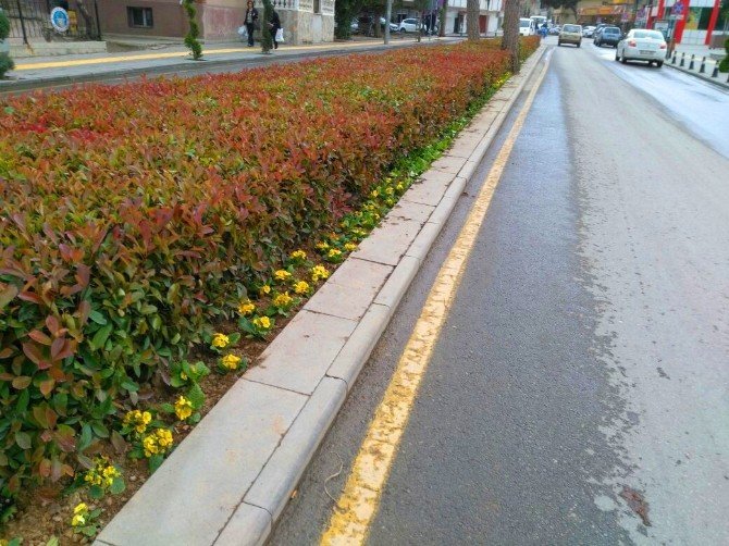 Alaşehir Belediyesi İlçeyi Rengarenk Donattı