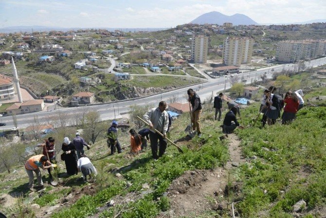 Melikgazi Belediyesi 3 Bin Fidanı Toprakla Buluşturdu