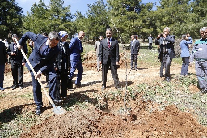 Şahinbey Belediyesi Başkanı Mehmet Tahmazoğlu:
