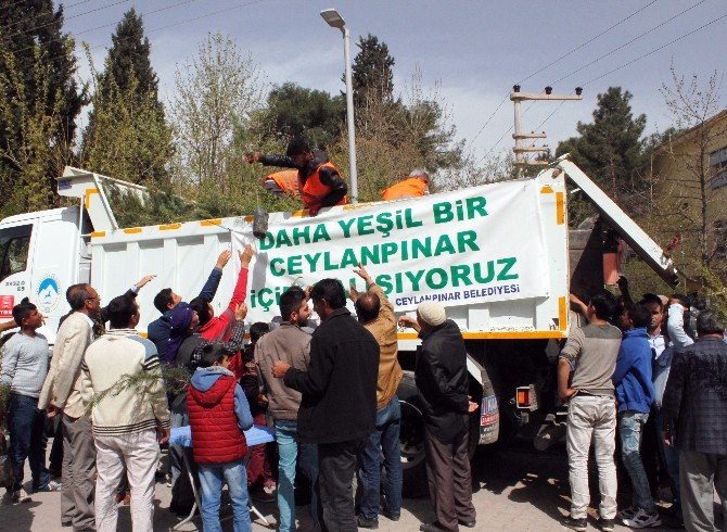 Ceylanpınar Belediyesi Ücretiz Fidan Dağıttı