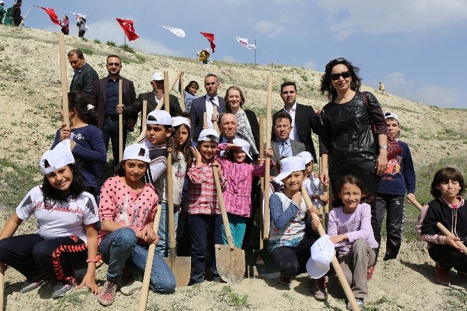 Sarayköy İlçesinde 3 Bin Fidan Toprakla Buluştu