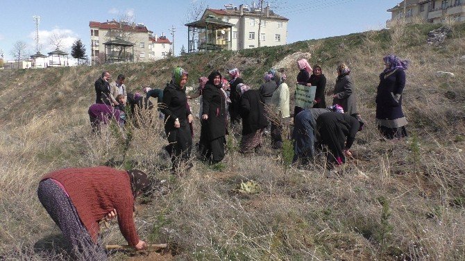 Beyşehir’de Kız Kur’an Kursu Öğrencileri Fidan Dikti