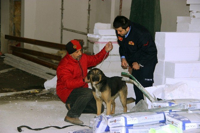 Çatıda Mahsur Kalan Köpekleri İtfaiye Kurtardı