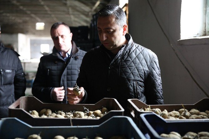 Niğde Patates Araştırma Enstitüsü Uzmanları Arnavutluk’tan Döndü