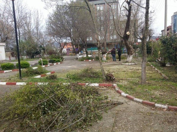 Saltukova’da Aile Çay Bahçesi Temizlik Ve Restorasyon Çalışmaları Devam Ediyor