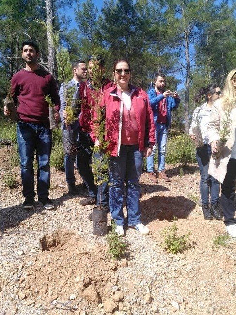AK Partililer Bodrum’da Yanan Ormanlık Alanlara Fidan Dikti