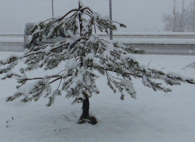 Bitlis’tde Kar Yağışı
