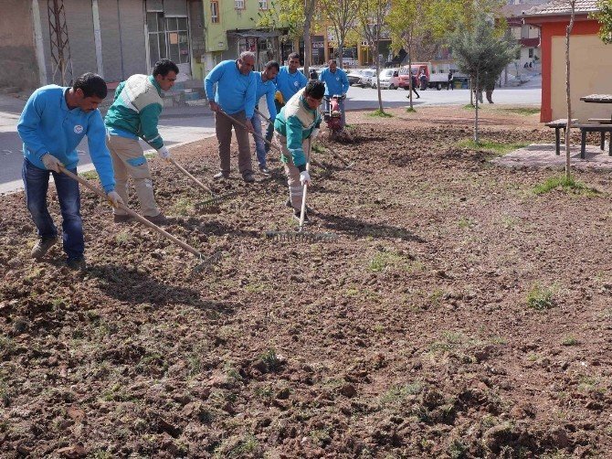 Haliliye Belediyesi Yeşillendirme Çalışmalarını Sürdürüyor