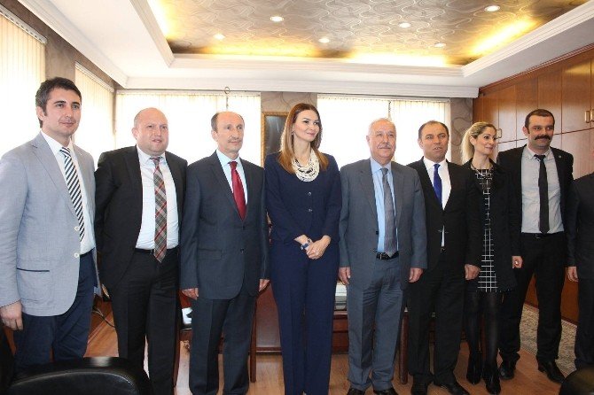 Azeri Milletvekili Paşayeva Başkan Akdemir’i Ziyaret Etti