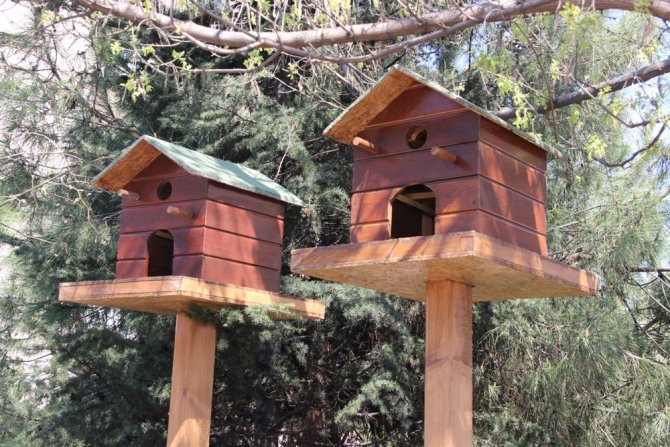 Zonguldak'ta 3 öğrencinin 'kuş evleri projesi' büyük beğeni gördü