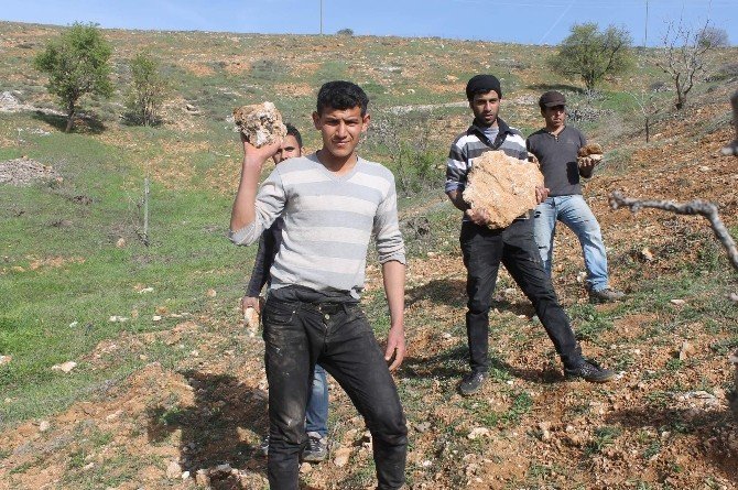 Suriyeli Gençler Ekmeğini Taştan Çıkarıyor