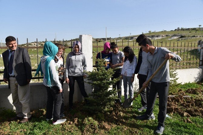 Yunusemre’de Ağaçlandırma Çalışmaları Sürüyor