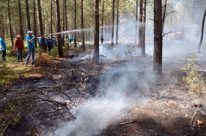 Yabancı Ormancılar, Ormanda Çıkan Yangını Söndürmek İçin Kıyasıya Uğraş Verdi