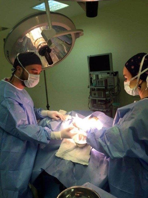 Erzincan Diş Sağlığında İvme Kazandı