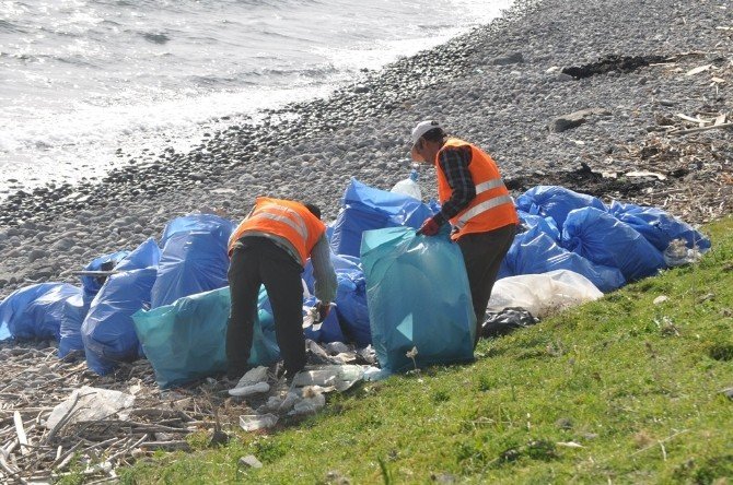 Ayvacık Sahillerinde Sığınmacılardan Geri Kalan Çöpler Temizleniyor