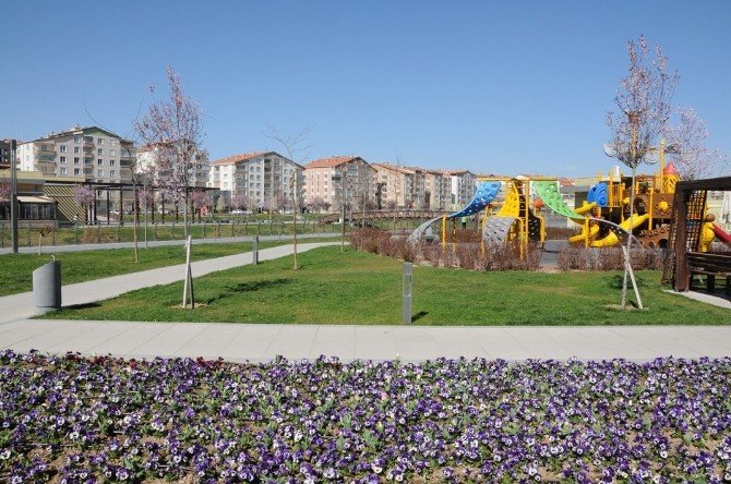 Kırşehir Belediyesi Park, Refüj Ve Şehir Merkezini Çiçeklerle Donattı