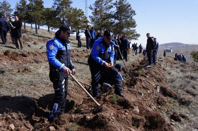 Erzurum’da polisler fidan dikti