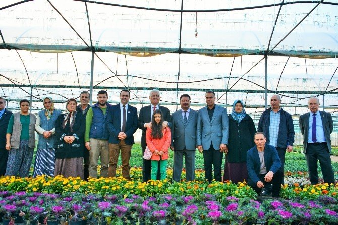 Ortaca, Dalaman Ve Köyceğiz’de Çiçek Üretimi 3 Milyona Ulaştı