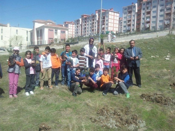 Yozgat TOKİ Ortaokulu Öğrencileri Şehitler İçin Fidan Dikti