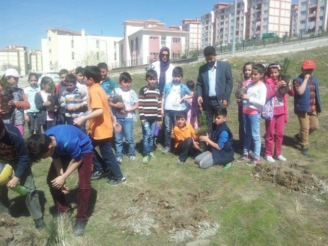 Yozgat TOKİ Ortaokulu Öğrencileri Şehitler İçin Fidan Dikti