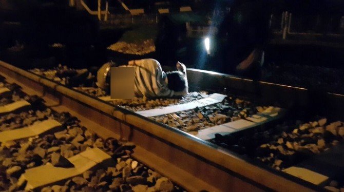 Trenin Altında Kalan Kişi Ağır Yaralandı