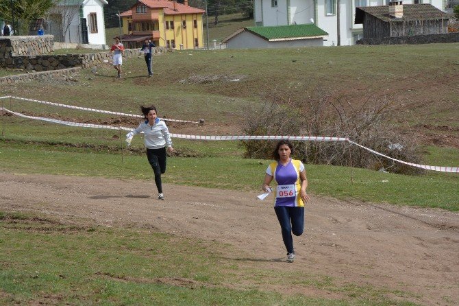 Oryantiring Gençler Kız/erkek Grup Yarışları Niksar’da Koşuldu