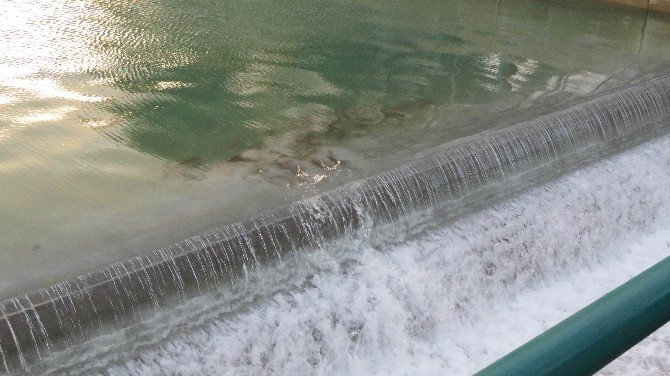 Beyşehir Gölü’nden Balık Kaçışlarına Önlem