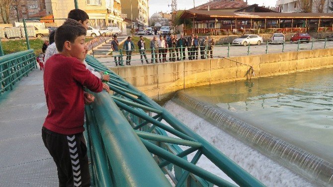 Beyşehir Gölü’nden Balık Kaçışlarına Önlem