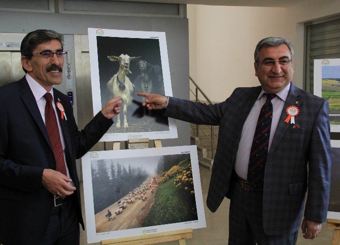 Sivas’ta ’Tarım Ve İnsan’ Adlı Fotoğraf Sergisi Açıldı