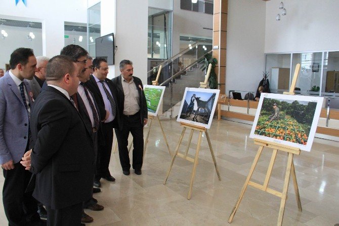 Sivas’ta ’Tarım Ve İnsan’ Adlı Fotoğraf Sergisi Açıldı