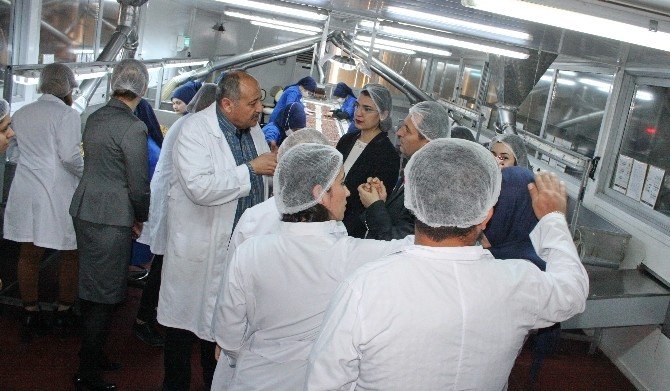 GAÜN’lü Öğrencilerden Gıda Fabrikasına Teknik Gezi