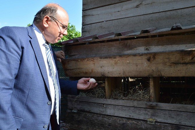 Vali Çiçek, Organik Köyde Vatandaşlarla Buluştu